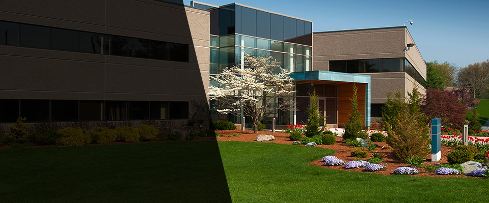 Carey Landscapers