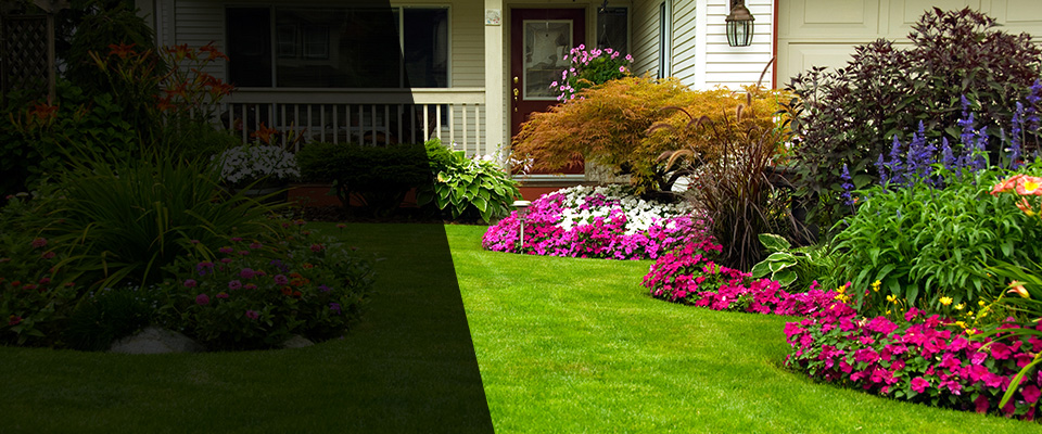 Carey Landscapers