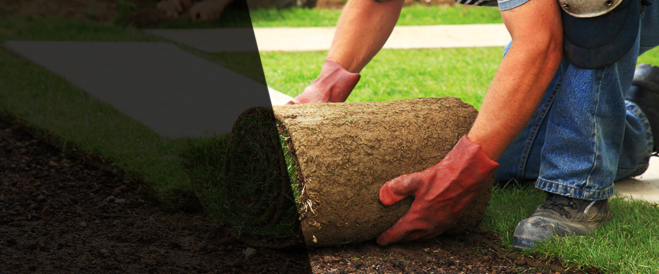 Carey Landscapers